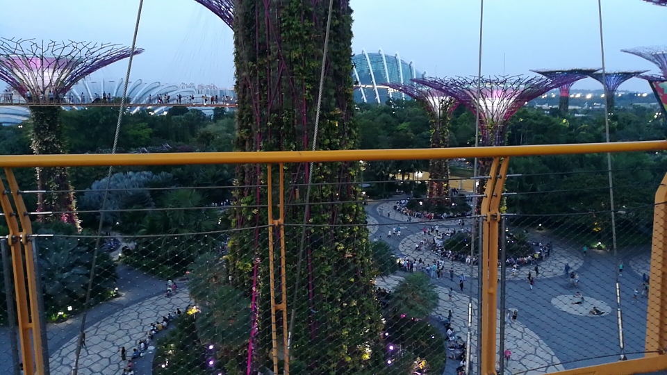 一个人这个月底想出去旅行散心,想去国外,有没