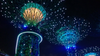 一个人这个月底想出去旅行散心,想去国外,有没