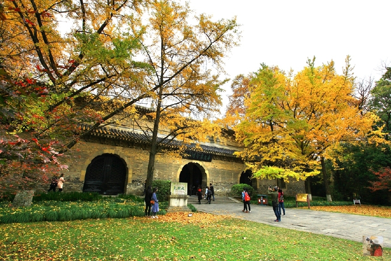 (首发)一到秋天,南京就变成了金陵(南京赏秋图文攻略)
