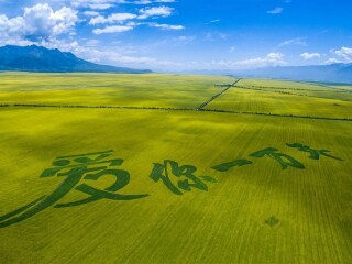 蘭州青海湖旅游報(bào)團(tuán)價(jià)格_蘭州青海湖自由行旅游團(tuán)_蘭州青海湖旅游要多少錢(qián)2021