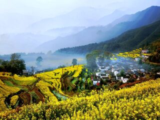[国庆]<南昌-庐山-景德镇-婺源篁岭-三清山-滕王阁双高5日游>10人精品团/打卡网红晒秋/自营0购/24H接送站/1晚庐山山上含环保车/篁岭含缆车/4早6正餐