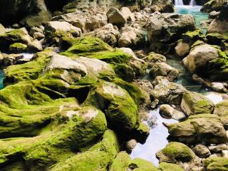 贵州黄果树-西江-荔波旅行团旅游报价_贵州黄果树-西江-荔波旅游价目_贵州黄果树-西江-荔波11日游跟团费