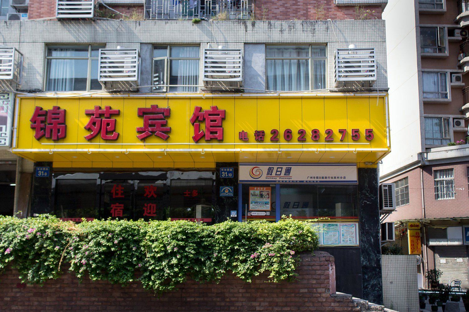 外观