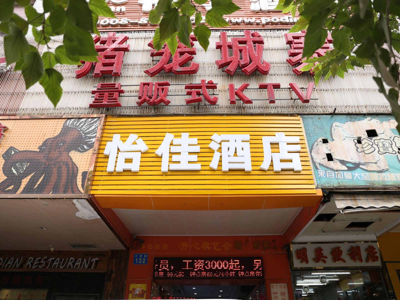 外观