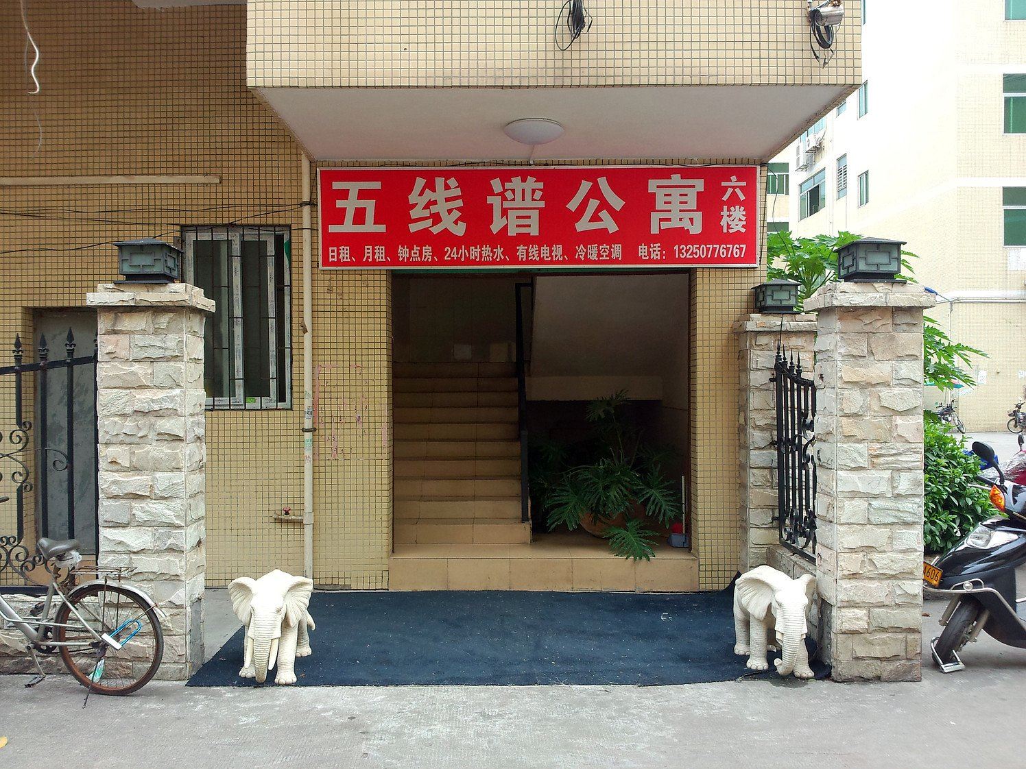 外观