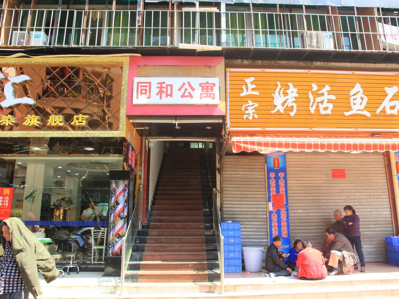 外观