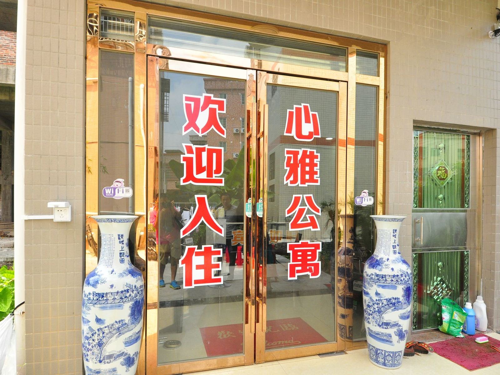 外观