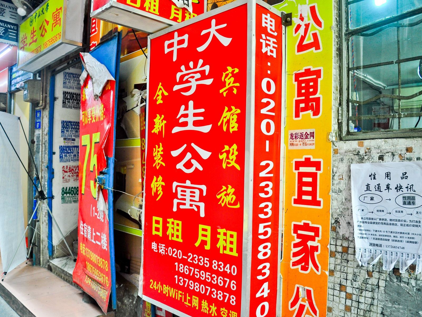 外观