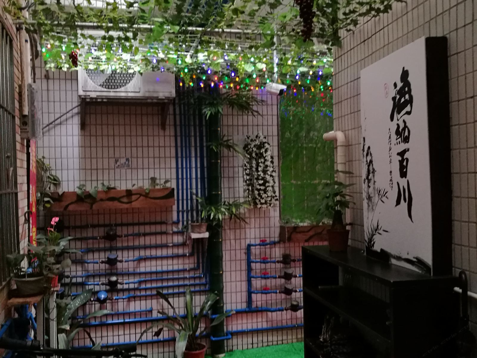 公共区域