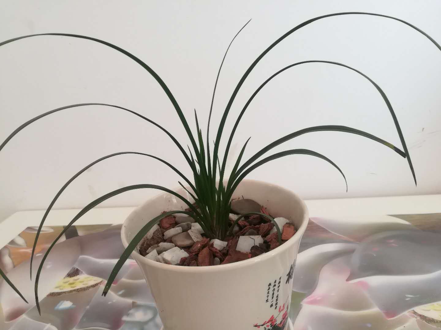 双床房