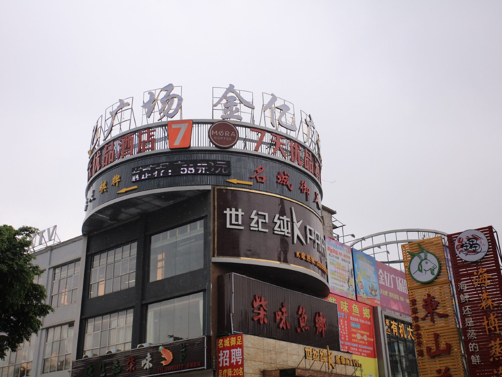 外观