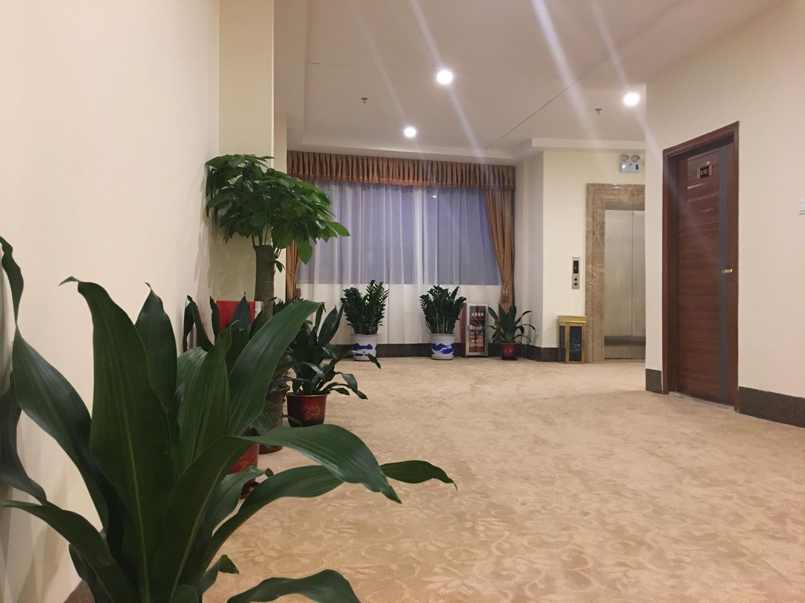 公共区域