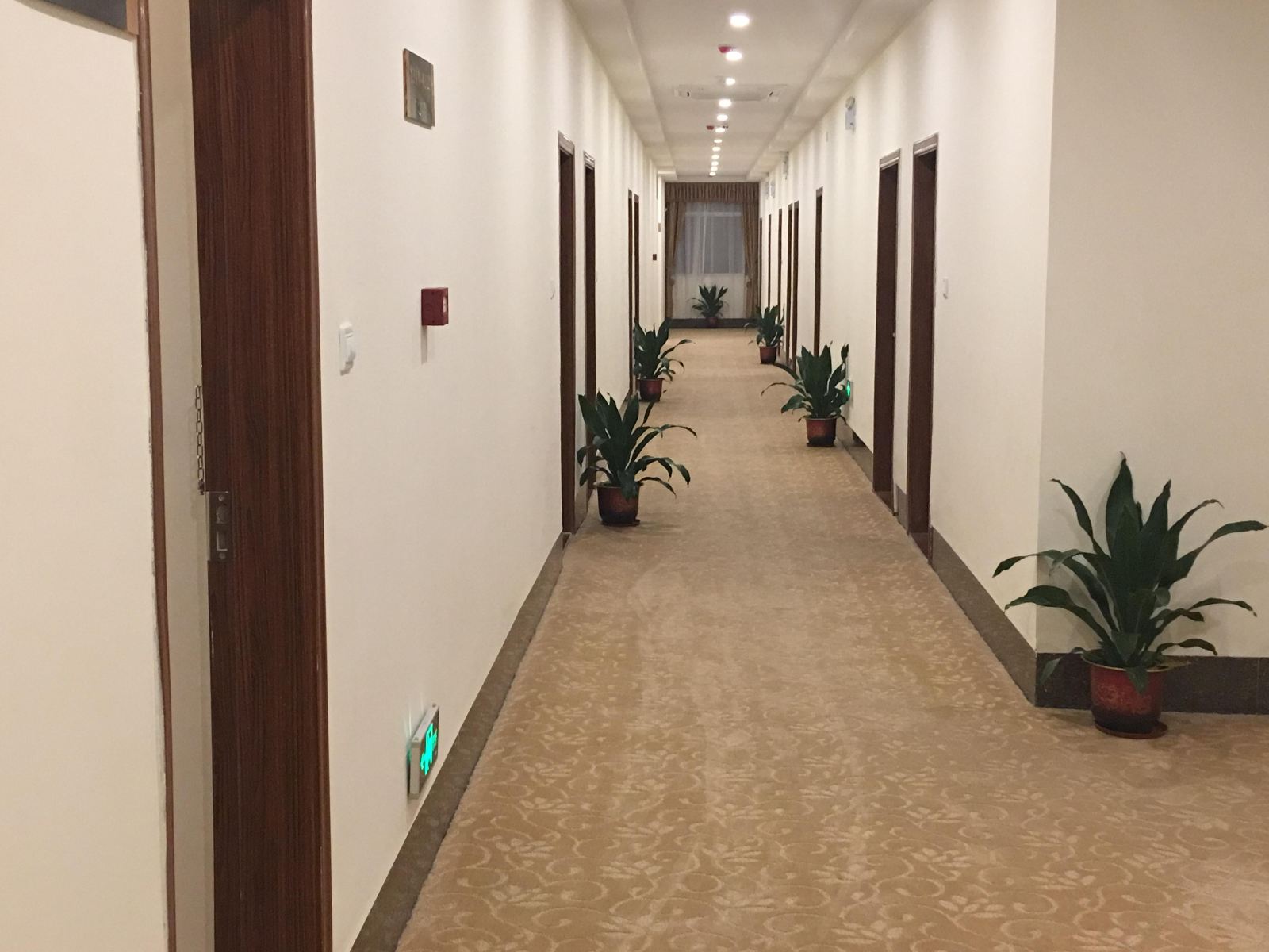 公共区域
