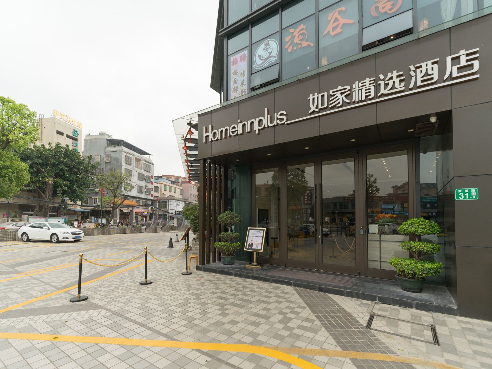 外观