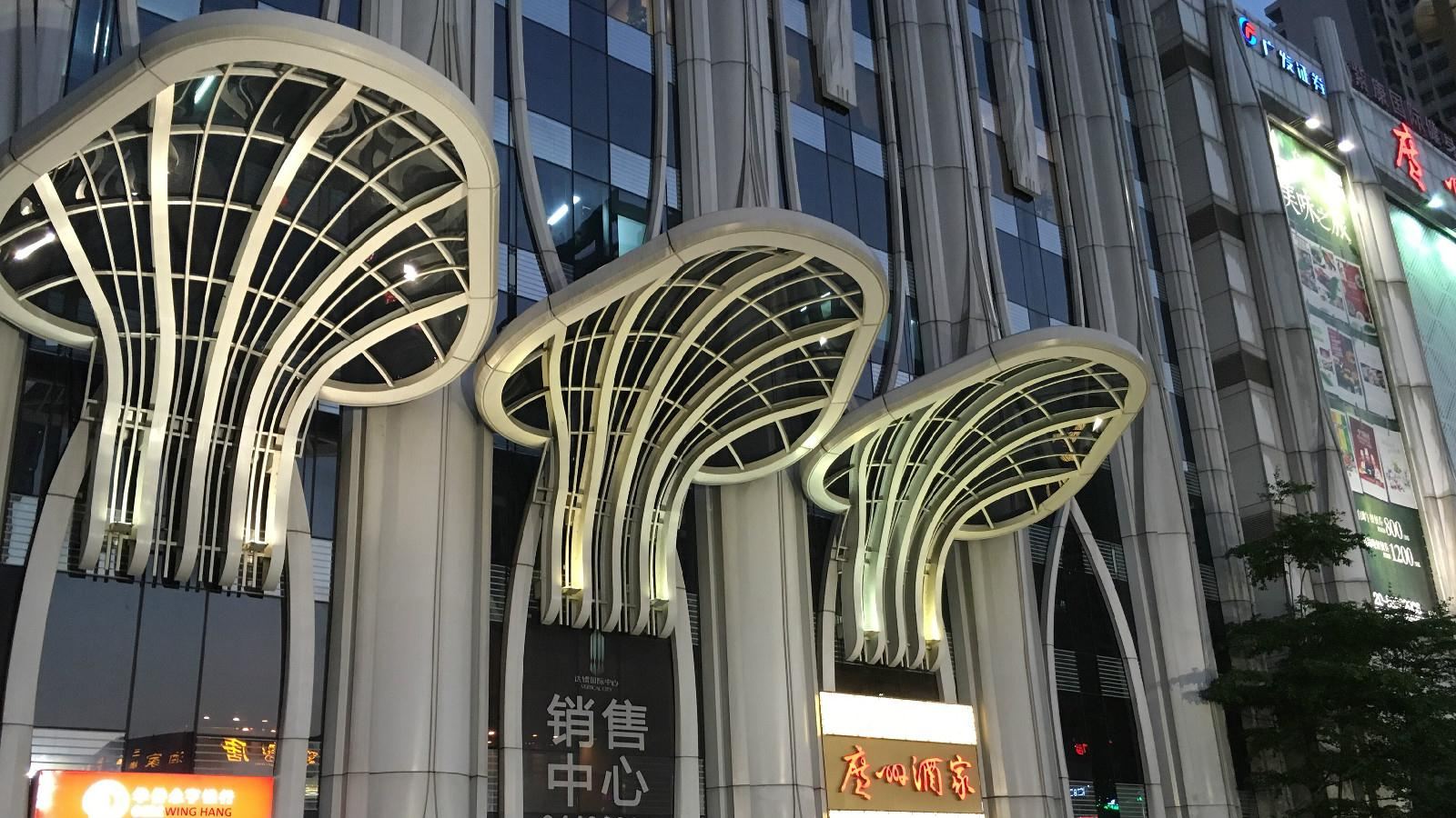 外观