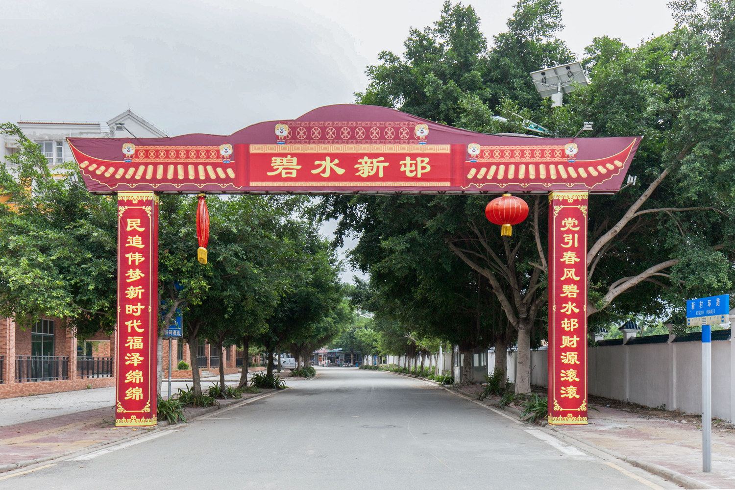 外观