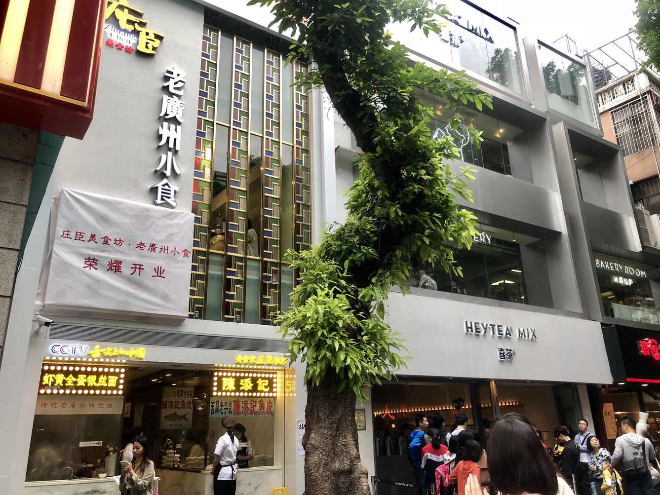 外观