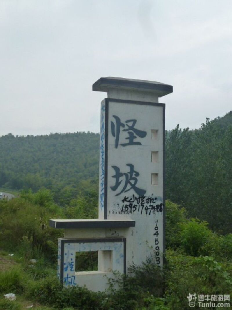 石塘竹海-怪坡