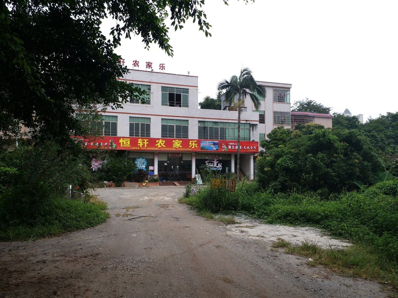 其他