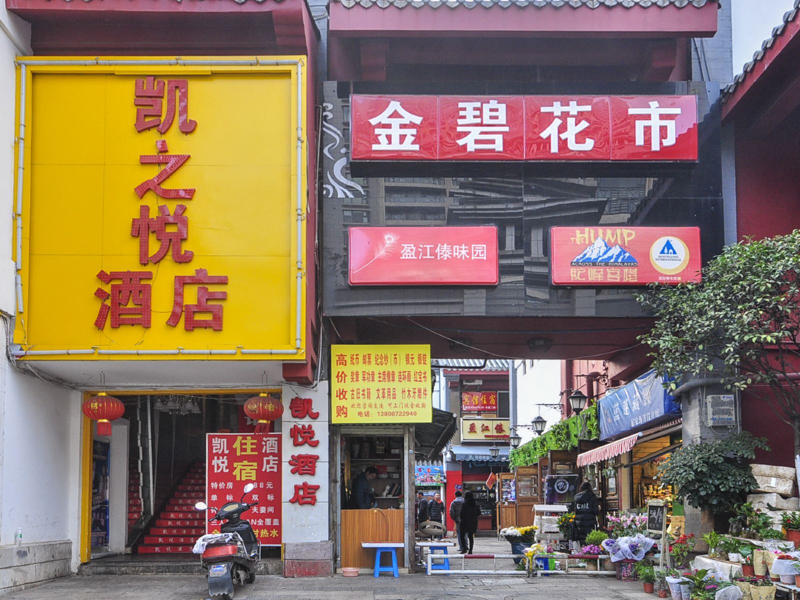 外观