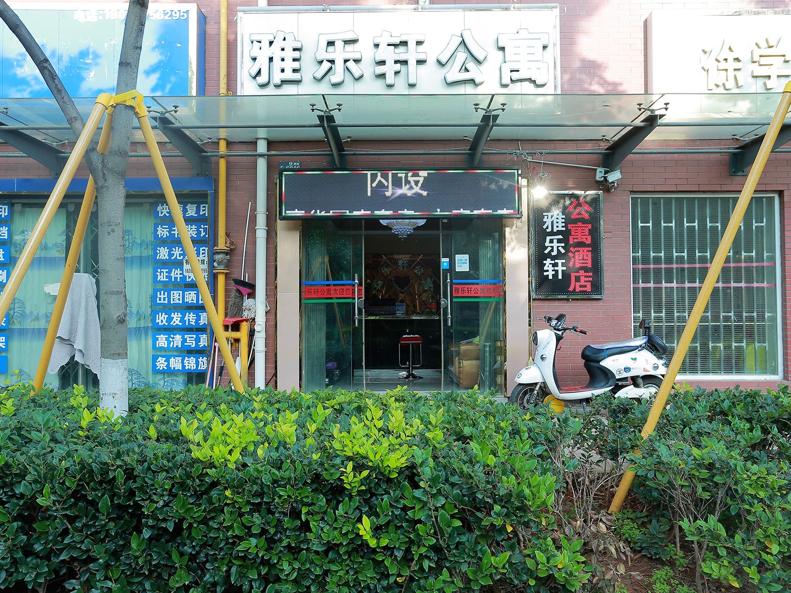 外观