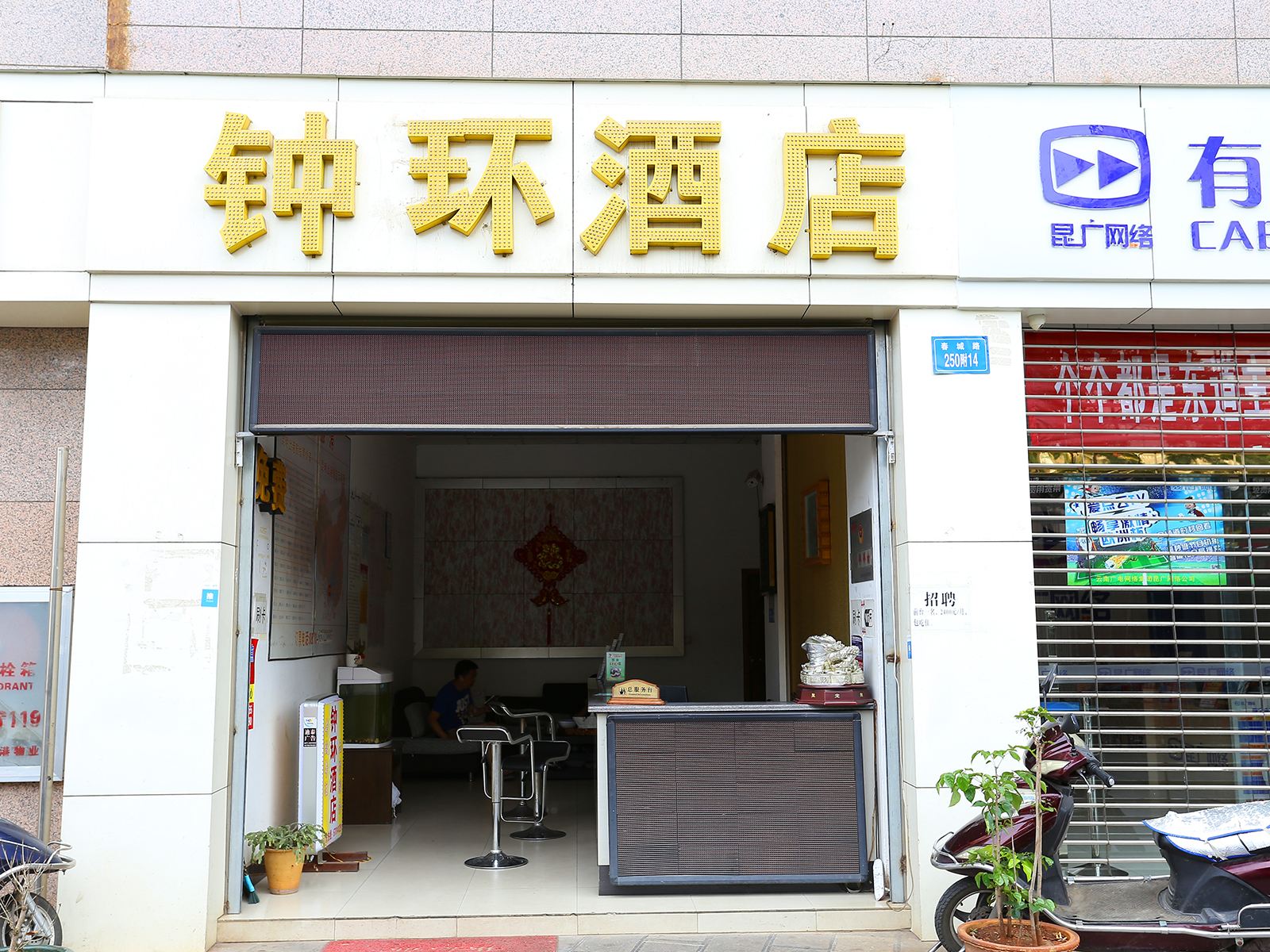 外观