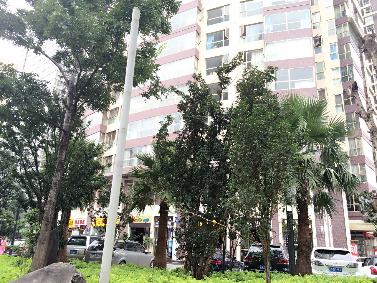 外观