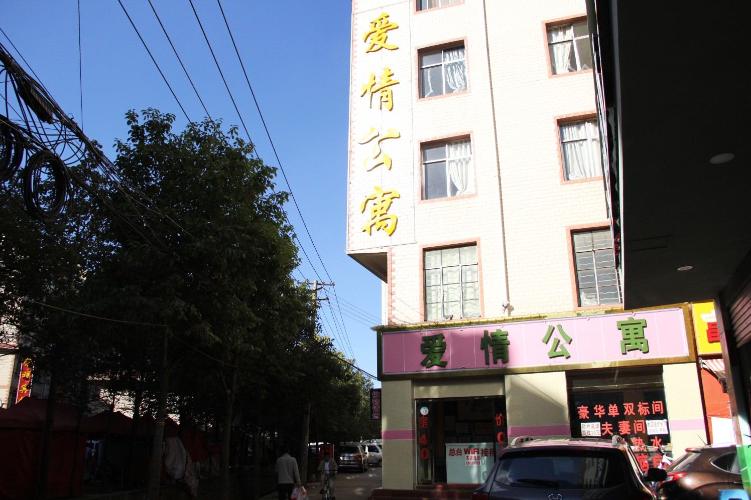 外观