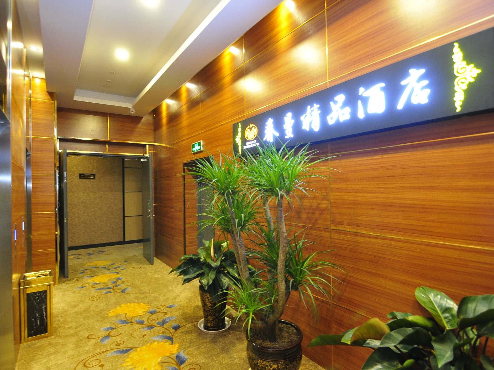 公共区域