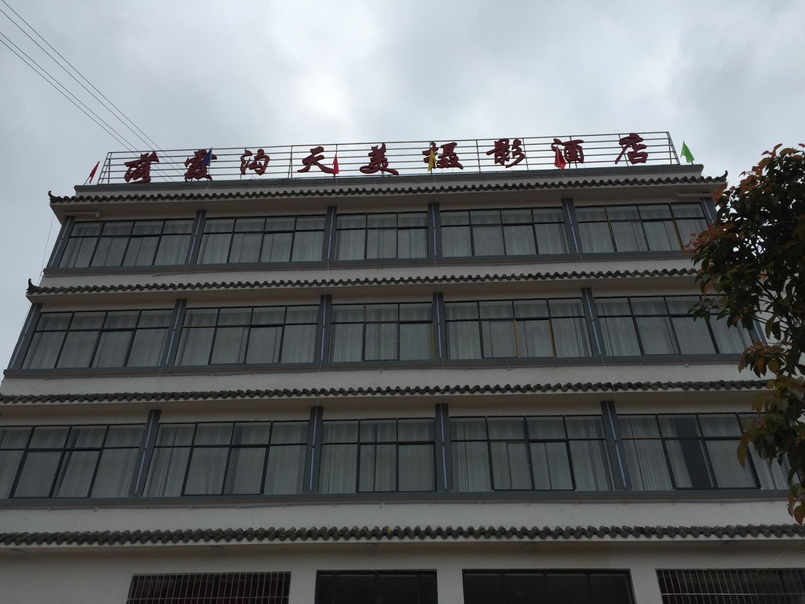 外观