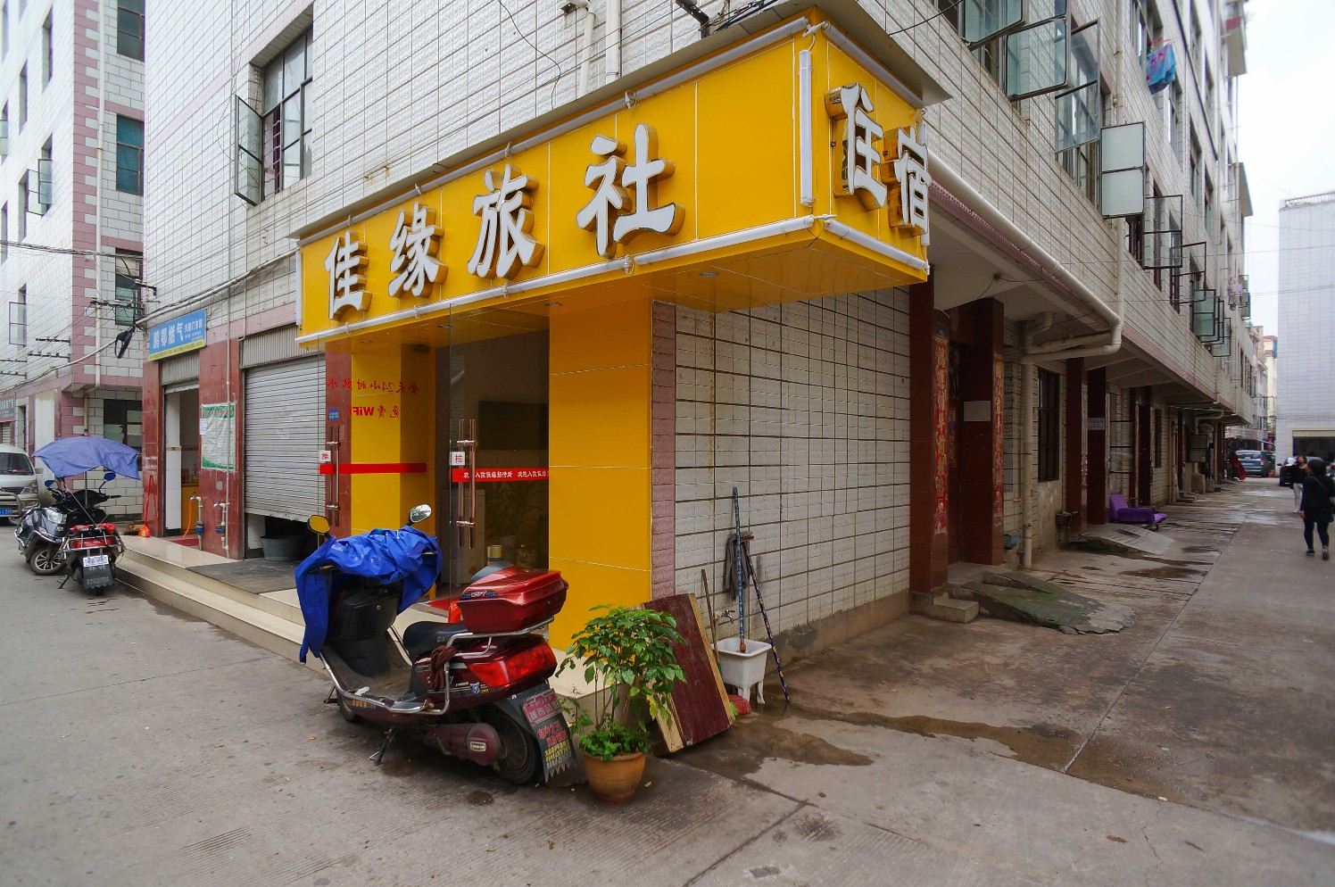 外观
