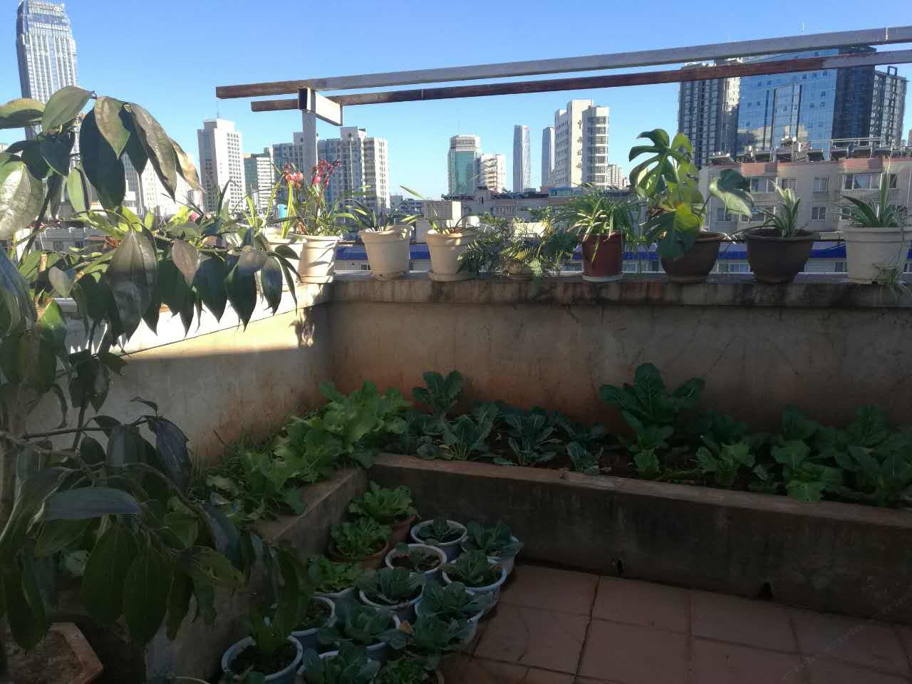 昆明隆基花园家庭式公寓