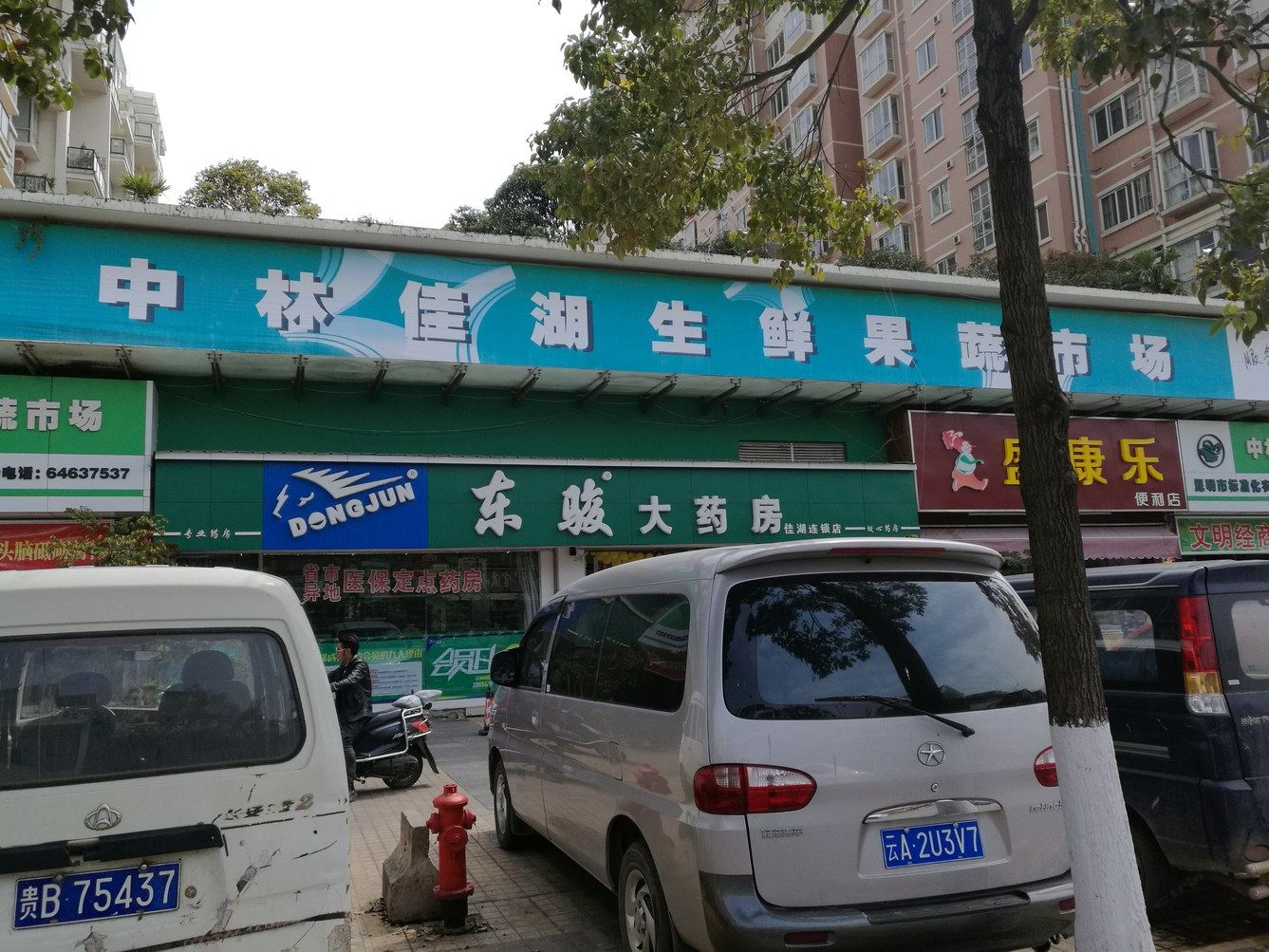 外观