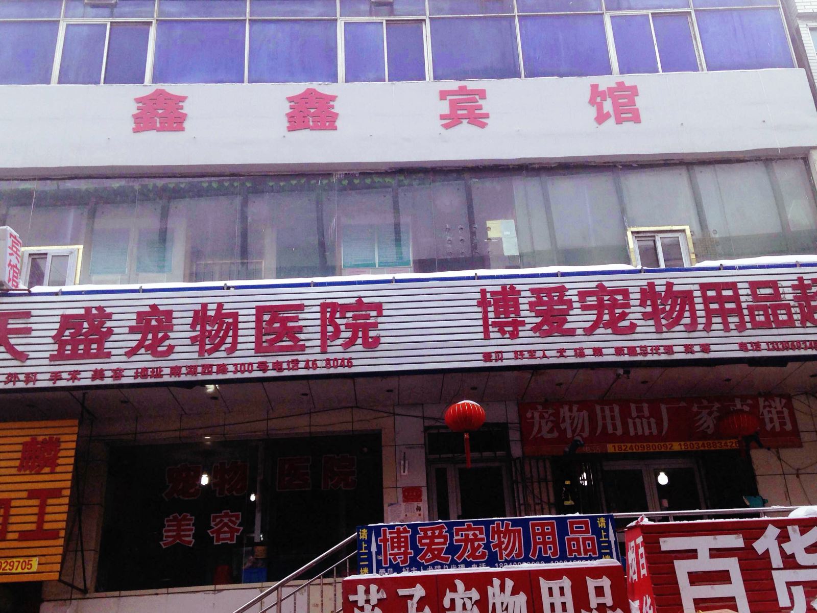 外观