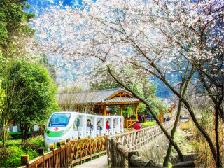 跟團(tuán)張家界天門山玻璃棧道旅游價格表_張家界天門山玻璃棧道游特價團(tuán)_去張家界天門山玻璃棧道游要多少錢