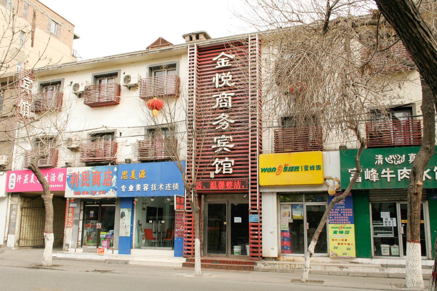 外观