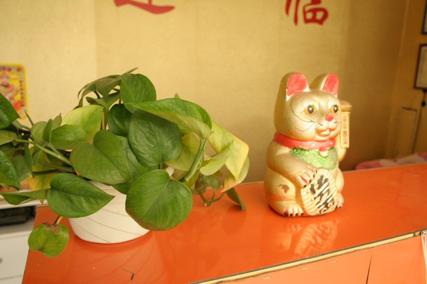 其他
