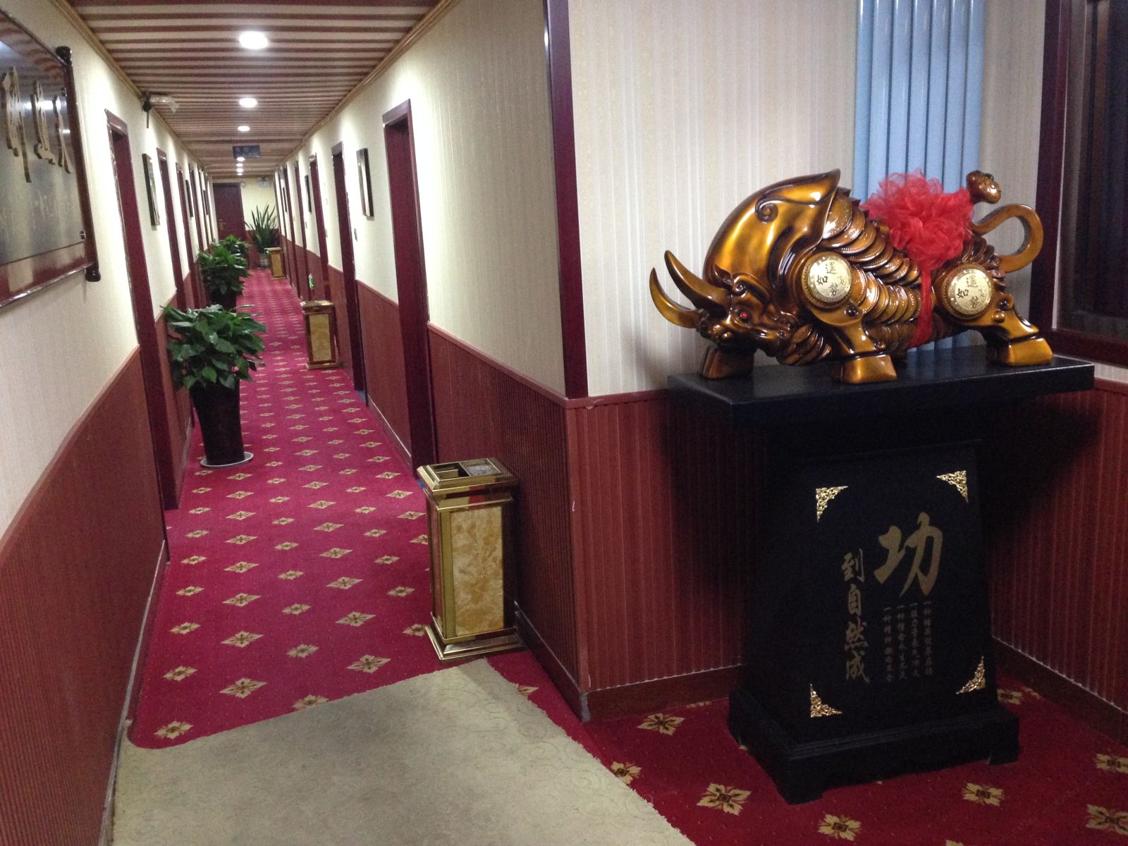 公共区域