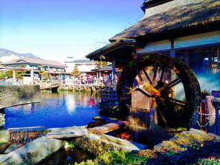到日本東京旅游報(bào)團(tuán)價(jià)格_日本東京旅游費(fèi)用_日本東京旅游最佳路線
