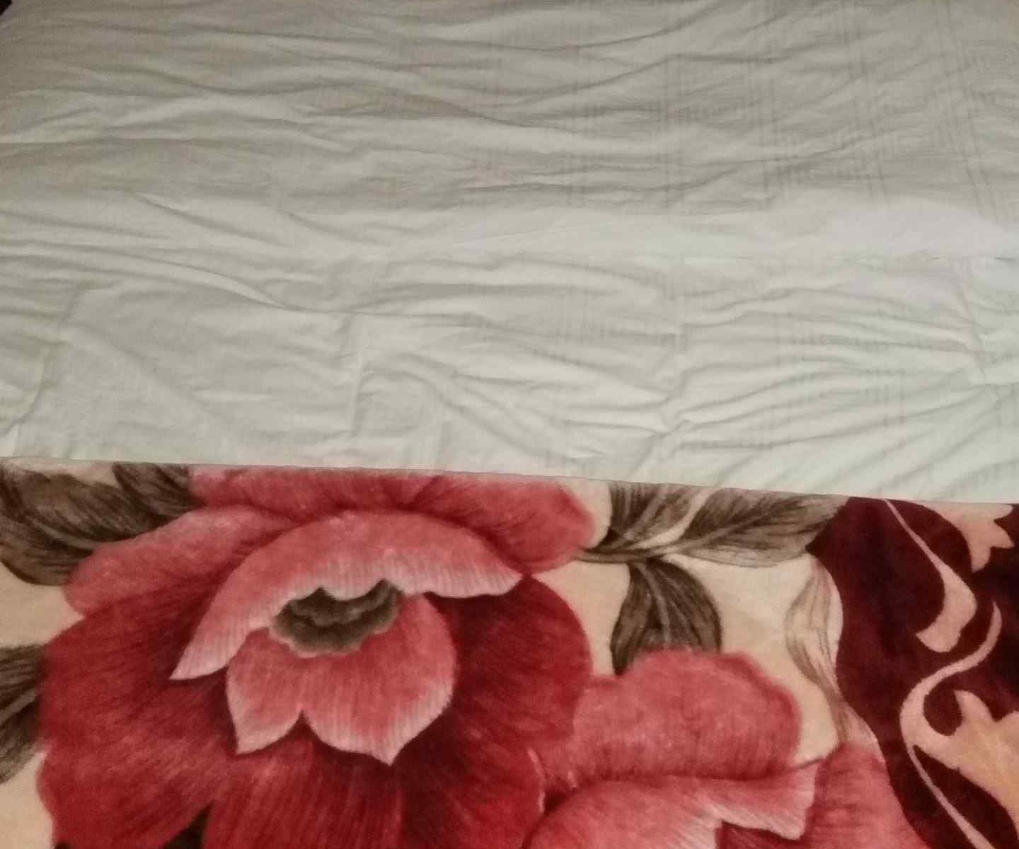 大床房