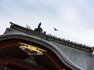 東莞到日本東京游_去日本東京旅游要多少錢_現(xiàn)在到日本東京旅游多少錢