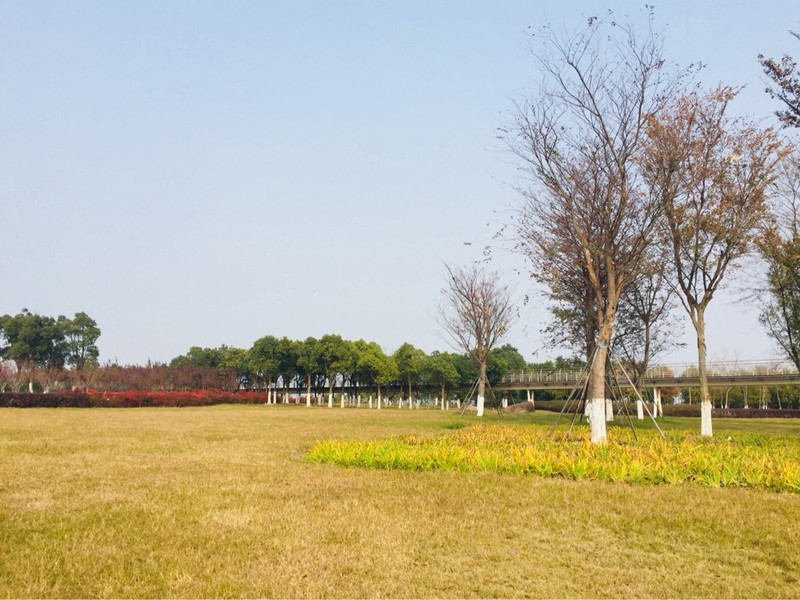 太仓浏河湿地公园