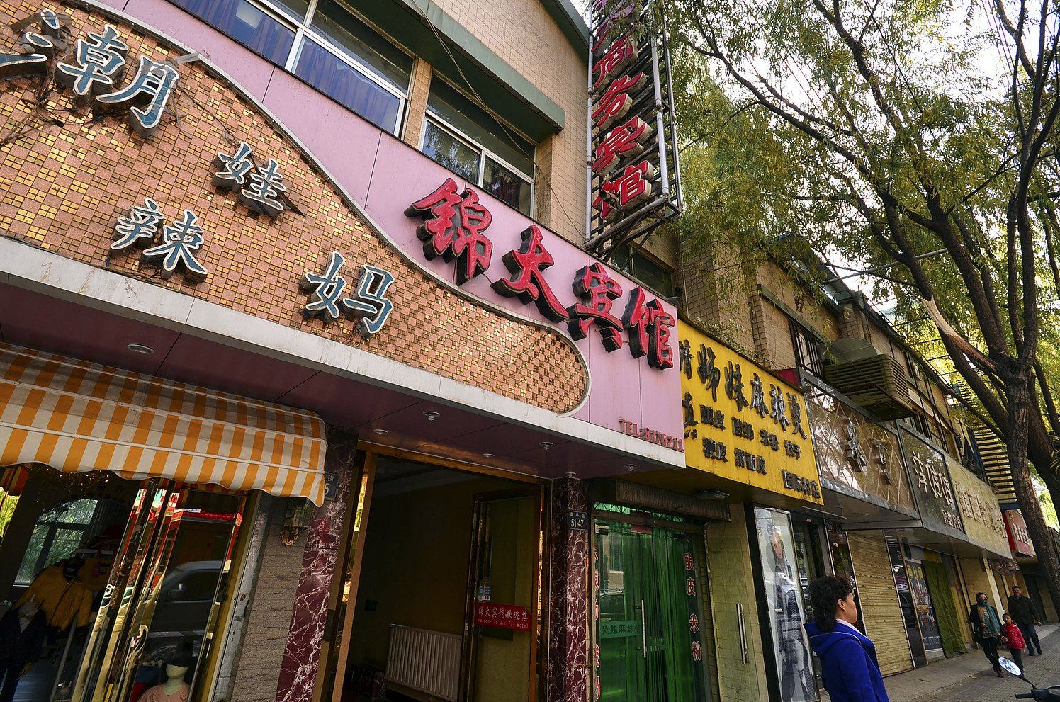 外观