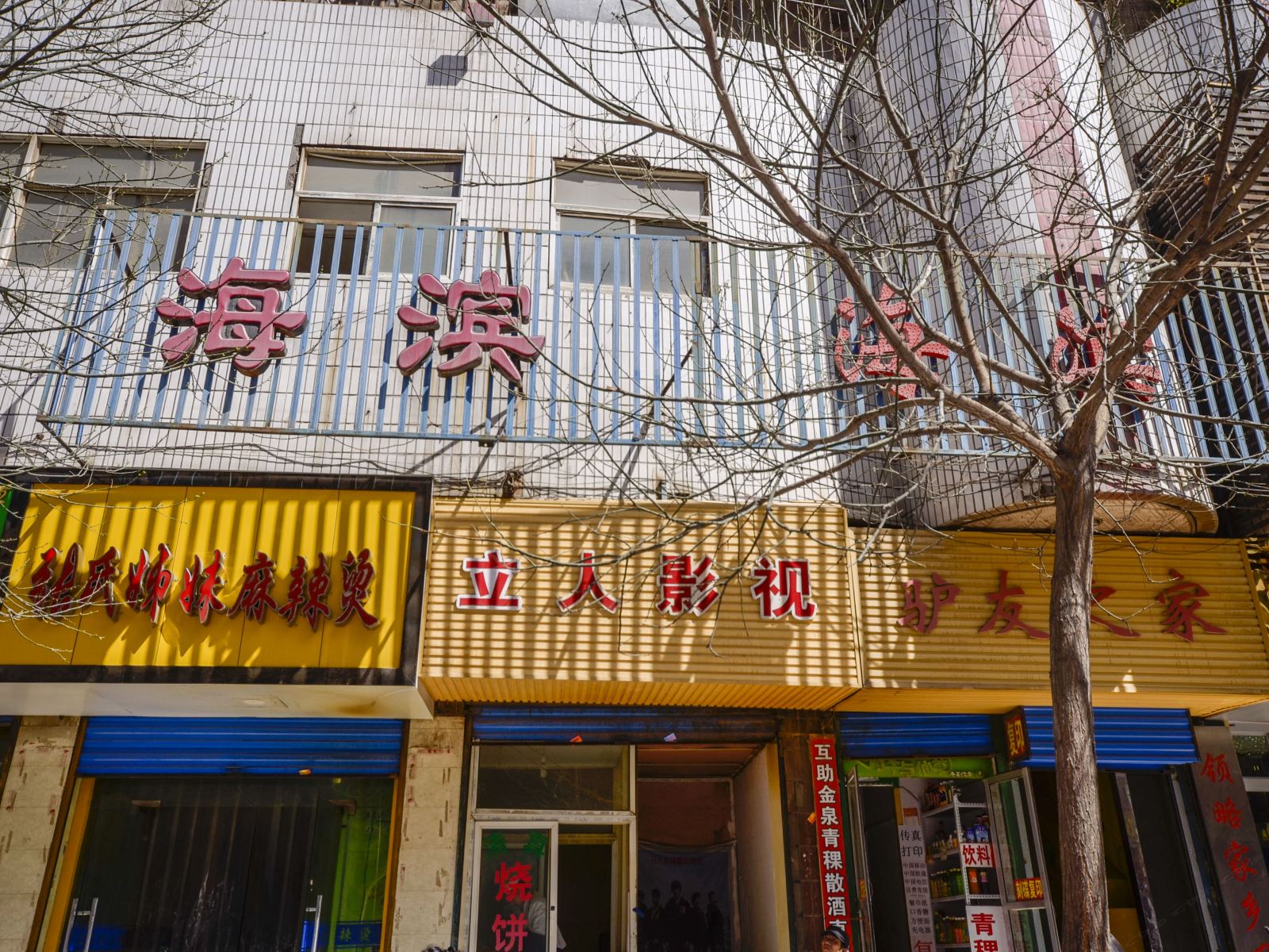 外观