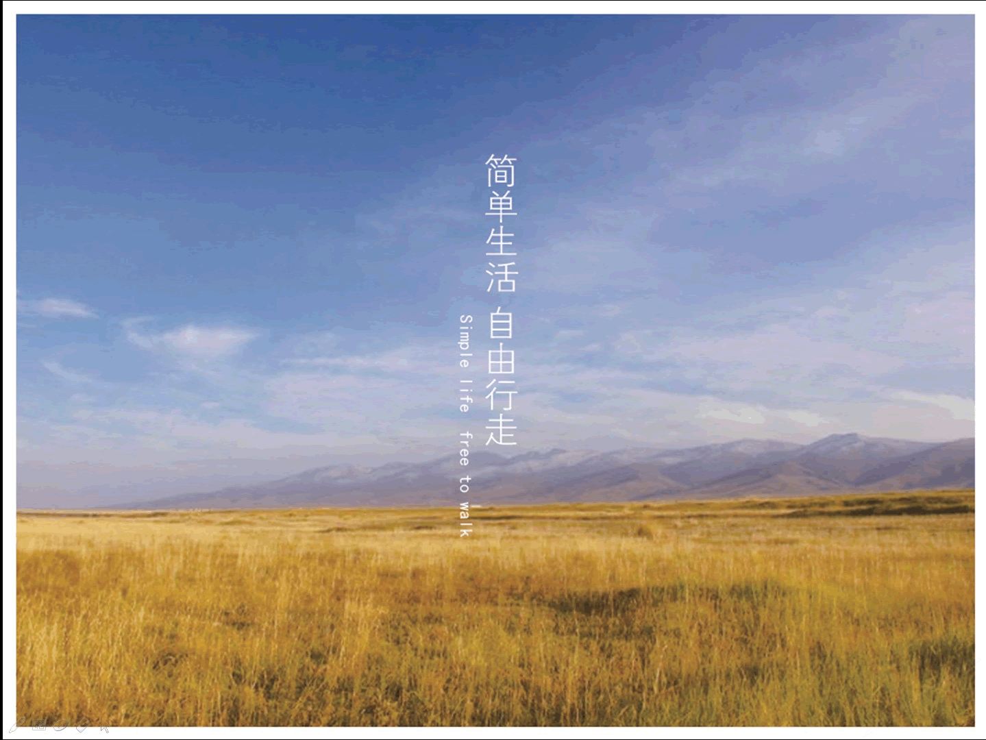 其他
