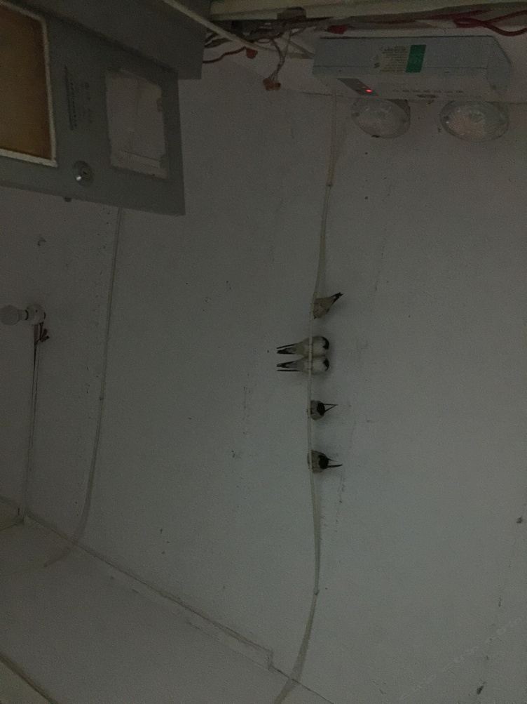 一室大床房