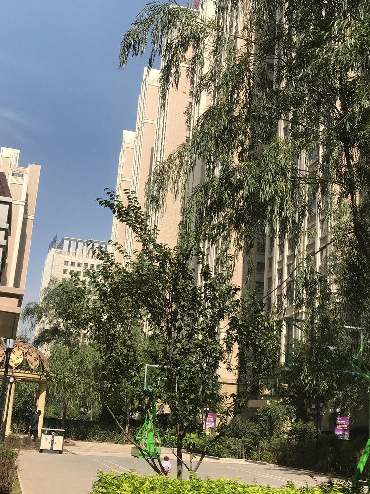 西宁shangshang公寓