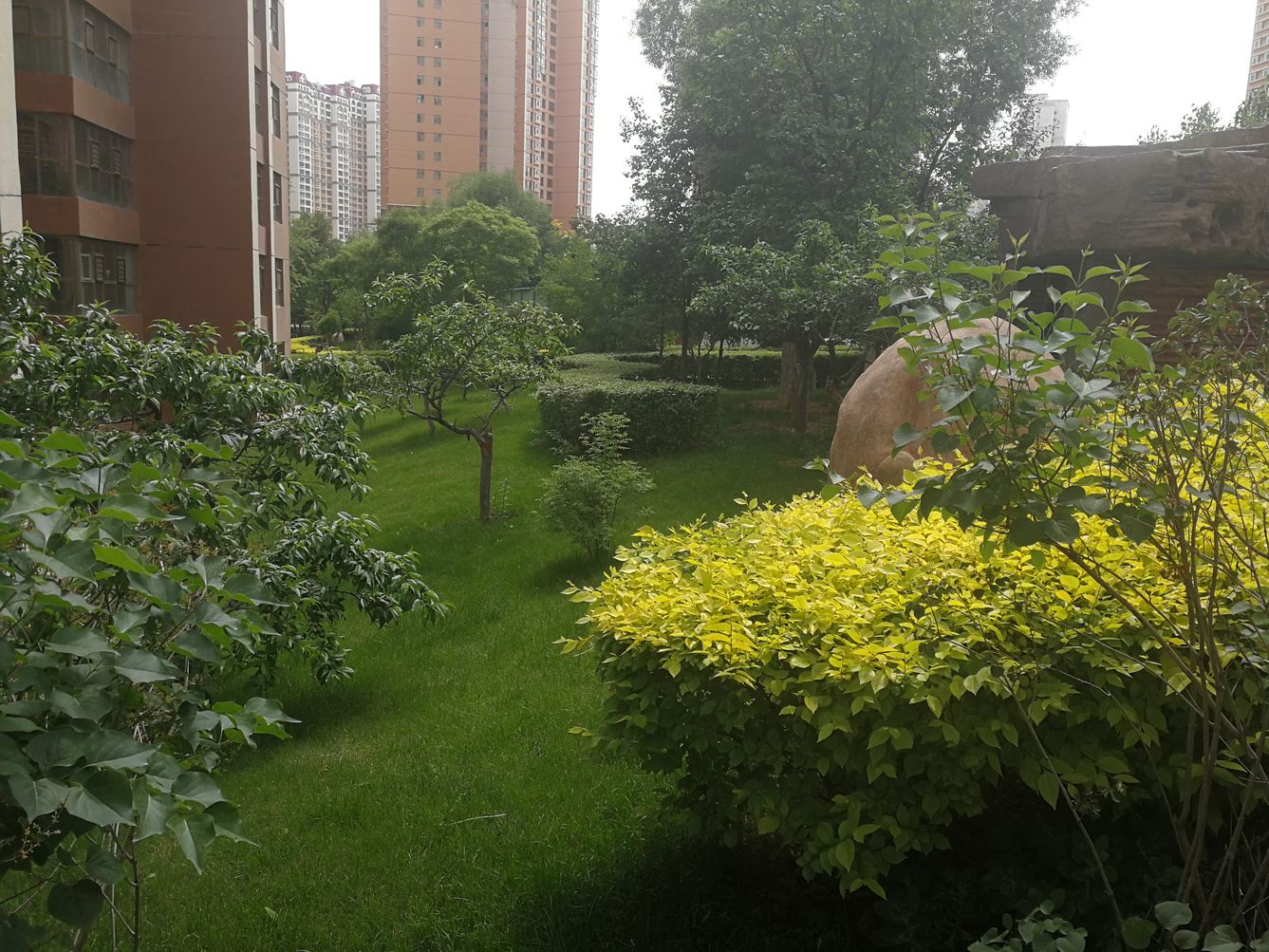 西宁紫色蒲公英的温馨屋公寓
