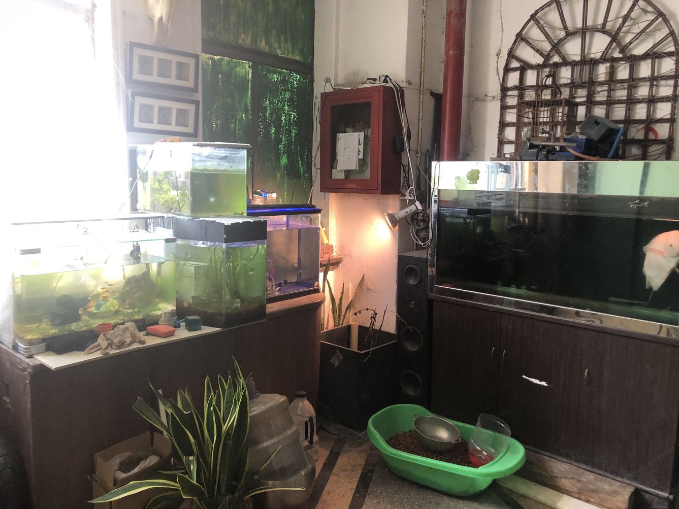 舒适景观一室一厅套房