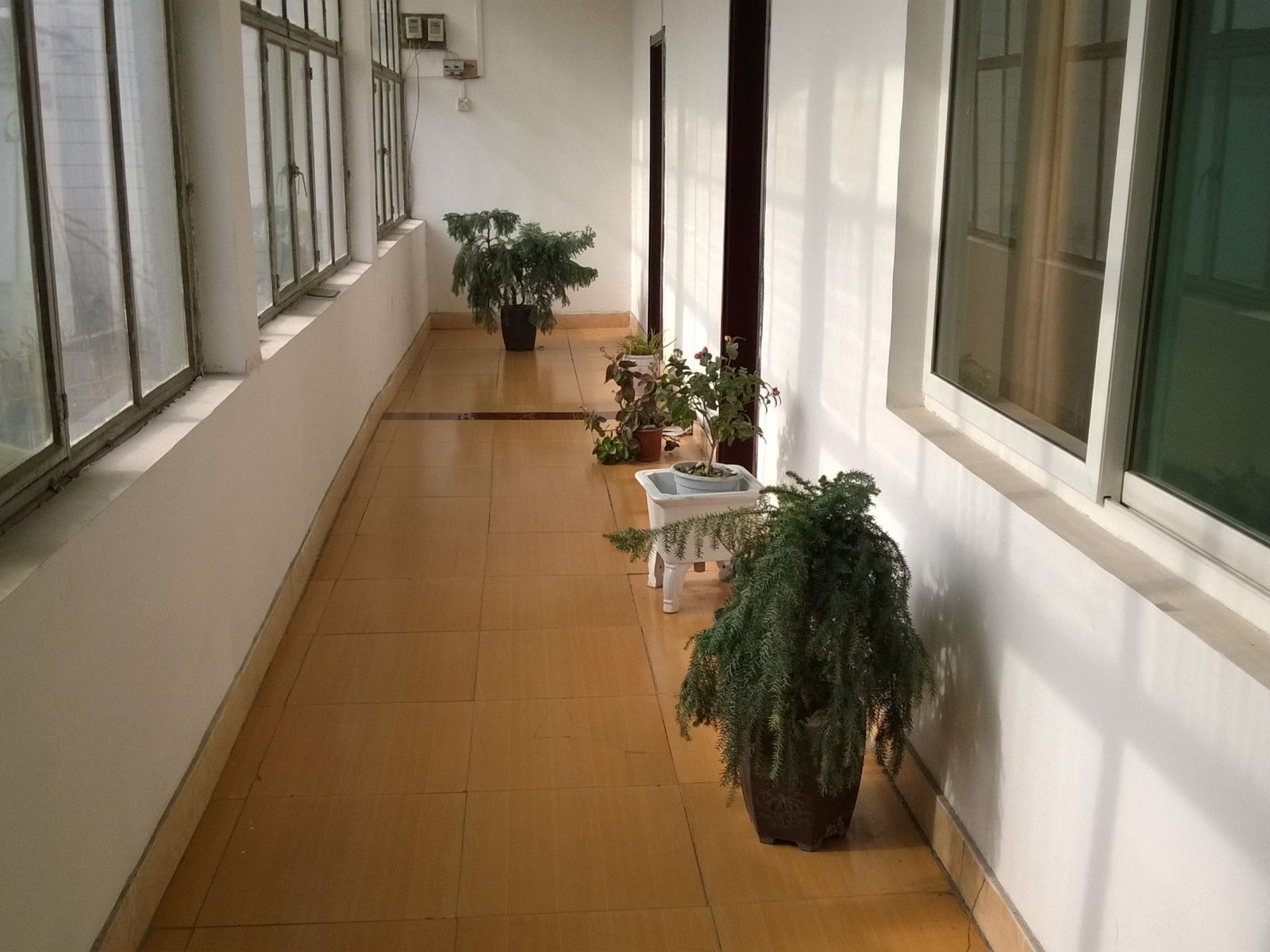 公共区域